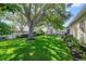 Lush backyard showcasing mature trees, vibrant greenery, and an inviting swing set at 714 Regina Cir, Oakland, FL 34787