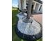 Beautiful landscaping featuring palm trees, rocks and a decorative black border near the brick driveway at 2920 Agostino Ter, Kissimmee, FL 34746