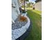 Eye-catching landscaping featuring ornamental gravel, tropical plants, and a decorative black border next to green grass at 2920 Agostino Ter, Kissimmee, FL 34746
