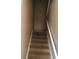 Carpeted stairway with white railings and neutral walls at 3102 Westbrook Rd, Kissimmee, FL 34746