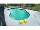 Kidney-shaped pool featuring bright blue trim, along with a safety fence and screened-in enclosure at 6041 Broad Oak Dr, Davenport, FL 33837