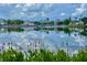 Beautiful lakefront view with buildings reflected in the water and plants in the foreground on a bright, sunny day at 907 Pawstand Rd, Celebration, FL 34747