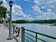 Scenic view of the lake and park with patriotic flags hanging from a green railing, under a sunny sky at 907 Pawstand Rd, Celebration, FL 34747