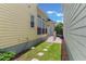 Well-maintained backyard with a grassy lawn and connecting patio at 206 Norfolk Pl, Celebration, FL 34747