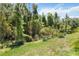 Lush backyard featuring healthy grass, mature trees and landscaping provides a private outdoor space at 3378 Sagebrush St, Harmony, FL 34773
