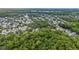 Expansive aerial view of a leafy residential neighborhood with mature trees at 1047 Banks Rose St, Kissimmee, FL 34747