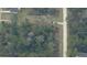 Aerial view of a wooded homesite, highlighted with a red outline indicating property boundaries at 1250 9Th Ave, Deland, FL 32724