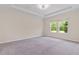 A carpeted bedroom features two windows and a tray ceiling at 3138 Dark Sky Dr, St Cloud, FL 34773