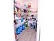Walk-in pantry with ample shelving stocked with various food items and household supplies at 673 Sarner Pass Way, Winter Haven, FL 33881
