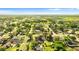 Bird's eye view of houses surrounded by lush greenery showcasing the neighborhood's suburban charm at 1024 Cohassett Ave, Lake Wales, FL 33853