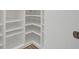 Open pantry with adjustable shelving for easy storage solutions at 1115 Mosaic Dr, Celebration, FL 34747
