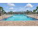 Community pool surrounded by lounge chairs and palm trees, perfect for relaxation and recreation at 3443 Florigold Grove St, Clermont, FL 34711