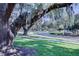 Street view with mature trees and Spanish moss in a peaceful, landscaped neighborhood, reflecting natural beauty at 3881 Shoreside Dr, Kissimmee, FL 34746