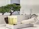 Stylish bathroom counter with a small decorative tree and eco-friendly toiletries at 1067 Plantation Ln, Davenport, FL 33896