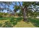 A shot of the expansive backyard featuring a majestic, mature tree and lush green grass at 120 W Minnehaha Ave, Clermont, FL 34711