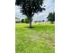 Spacious backyard with mature trees and a scenic pond view at 2385 Andrews Valley Dr, Kissimmee, FL 34758