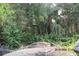 The view showcases the lush, overgrown backyard with various trees and plants at 386 San Jose Dr, Winter Haven, FL 33884