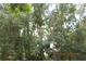 Heavily wooded lot offers privacy at 386 San Jose Dr, Winter Haven, FL 33884