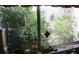 Close-up view through a window showcases a lush outdoor garden, bringing natural beauty inside at 386 San Jose Dr, Winter Haven, FL 33884