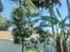 The lush backyard is enhanced by a variety of trees that provide shade and privacy from surrounding homes at 622 Dromedary Ct, Kissimmee, FL 34759