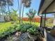 Beautiful backyard garden area with variety of plants and a screened patio at 622 Dromedary Ct, Kissimmee, FL 34759
