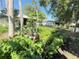 Lush backyard garden with various plants, trees, and garden beds at 622 Dromedary Ct, Kissimmee, FL 34759