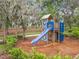 Bright community playground with a slide and climbing features surrounded by lush landscaping at 1373 Williams Rd, Winter Garden, FL 34787