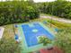 Aerial view of a full-sized basketball court surrounded by trees at 2341 Stone Cross Cir, Orlando, FL 32828