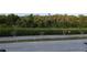 A green buffer and tall trees provide a lush green backyard view and lots of privacy at 10734 Dawson Lily Way # S, Orlando, FL 32832