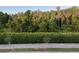 A green buffer and tall trees provide a lush green backyard view and lots of privacy at 10734 Dawson Lily Way # S, Orlando, FL 32832