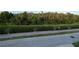 A green buffer and tall trees provide a lush green backyard view and lots of privacy at 10734 Dawson Lily Way # S, Orlando, FL 32832