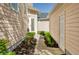 Side yard featuring a walkway with mulch, landscaping, exterior door, and neutral colored siding at 121 Longview Ave, Celebration, FL 34747