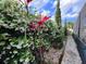 Lush backyard landscaping creates a serene and private outdoor retreat, beautiful flowering plants at 12445 Bohannon Blvd, Orlando, FL 32824
