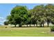 A vast backyard area featuring a large grassy expanse, mature trees providing shade, and a home in the distance at 2350 Bradbury Rd, Haines City, FL 33844