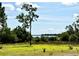Scenic land view with lush green grass, mature trees, and a beautiful lake in the distance on a clear day at 2350 Bradbury Rd, Haines City, FL 33844