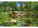 A serene pond with lily pads and rock features creates a tranquil outdoor space at 607 Gran Bahama Blvd # B29/U607, Davenport, FL 33897