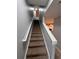 Carpeted staircase leading upstairs with white railings, providing a safe and stylish transition between levels at 4981 Alita Ter, St Cloud, FL 34769