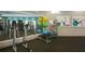 A modern fitness center with weight machines, a large mirror, and exercise balls of different colors at 9318 Mclaren Aly, Winter Garden, FL 34787