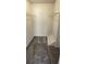 Walk-in closet with neutral carpet and ample shelving and hanging space for organization at 1024 Spring Meadow Dr, Kissimmee, FL 34741