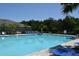 Spacious community pool with clear blue water, surrounded by lush greenery at 3673 Caspian St, Leesburg, FL 34748