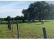 Picturesque pasture with grazing cattle, highlighting the serene and pastoral setting of the property at 6100 Skokie Rd, Lake Wales, FL 33898