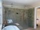 Spacious shower featuring elegant fixtures, a rain shower head and a handheld sprayer at 3003 Cobham Rd, Kissimmee, FL 34758