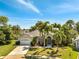 Charming single-story home with a well-manicured lawn and lush tropical landscaping with several palm trees at 3211 Countryside View Dr, St Cloud, FL 34772
