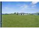 Wide view of spacious backyard with well-maintained lawn and neighboring houses at 557 Viceroy Ct, Kissimmee, FL 34758