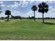 Expansive view of a lush green golf course and serene lake at 88 Club Villas Ln, Kissimmee, FL 34744