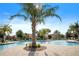 Community pool showcasing palm trees, fountains, and comfortable lounge chairs for residents at 1300 Island Green St, Davenport, FL 33896