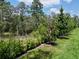 Scenic backyard with a lush green lawn, mature trees, and manicured shrubs and bushes at 1425 Serendipity Ln, Clermont, FL 34714