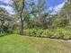 Scenic backyard with a lush green lawn, mature trees, and manicured shrubs and bushes at 1425 Serendipity Ln, Clermont, FL 34714