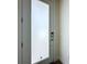 Modern front door with frosted glass, providing privacy and natural light in the entry at 1425 Serendipity Ln, Clermont, FL 34714