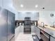 Modern kitchen features sleek gray cabinetry, stainless steel appliances, and a minimalist design at 1425 Serendipity Ln, Clermont, FL 34714